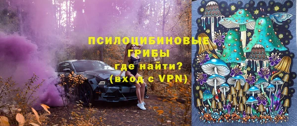 трава Семилуки