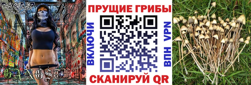 mega вход  Знаменск  Псилоцибиновые грибы ЛСД  купить закладку 