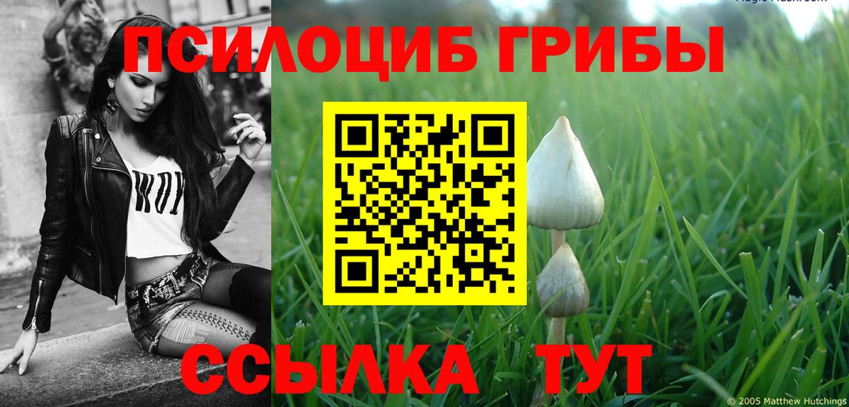 Псилоцибиновые грибы мицелий Знаменск