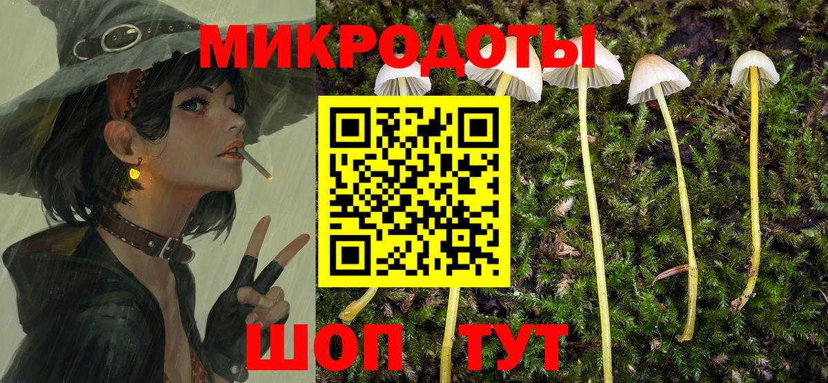 Знаменск  Псилоцибиновые грибы Psilocybine cubensis  Вход с VPN 